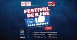Festivalul de Bine - Fundatia MEV